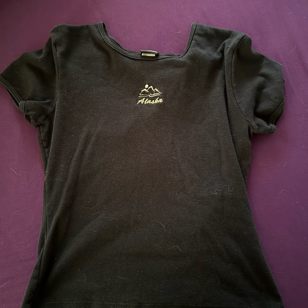 Hanes Black Alaska Embroidered T-Shirt